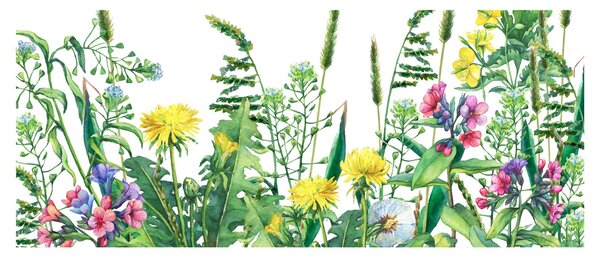 Obraz - Maľované lúčne kvety (120x50 cm)