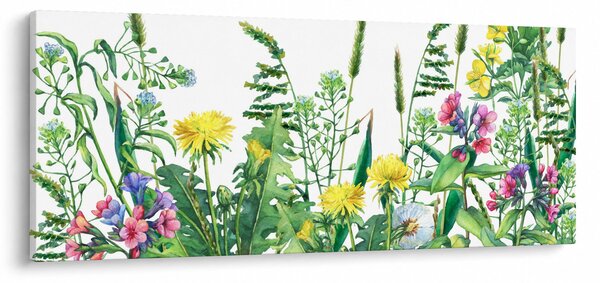 Obraz - Maľované lúčne kvety (120x50 cm)