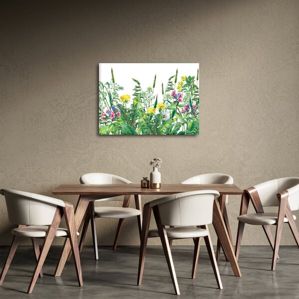 Obraz - Maľované lúčne kvety (70x50 cm)