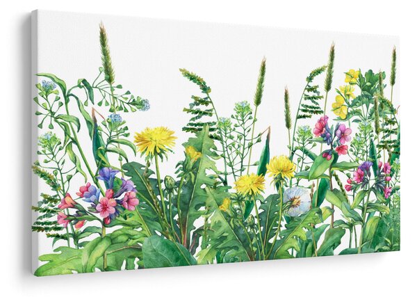 Obraz - Maľované lúčne kvety (90x60 cm)