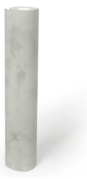 A.S. Création | Vliesová tapeta na stenu Michalsky 39985-5 | 0,53 x 10,05 m | biela, krémová, šedá