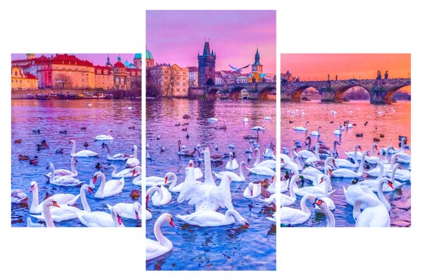 Obraz - Praha (90x60 cm)