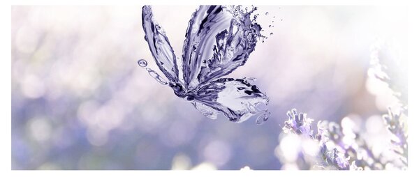 Obraz - Motýľ a levanduľa (120x50 cm)