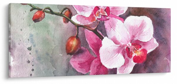 Obraz - Orchidey, aquarel (120x50 cm)