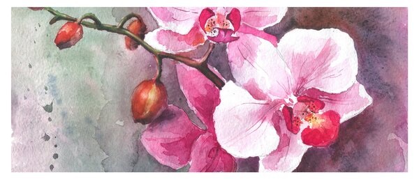 Obraz - Orchidey, aquarel (120x50 cm)