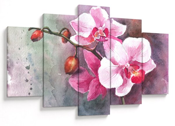 Obraz - Orchidey, aquarel (150x105 cm)