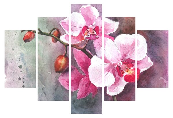 Obraz - Orchidey, aquarel (150x105 cm)