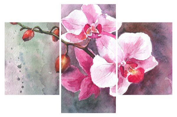 Obraz - Orchidey, aquarel (90x60 cm)