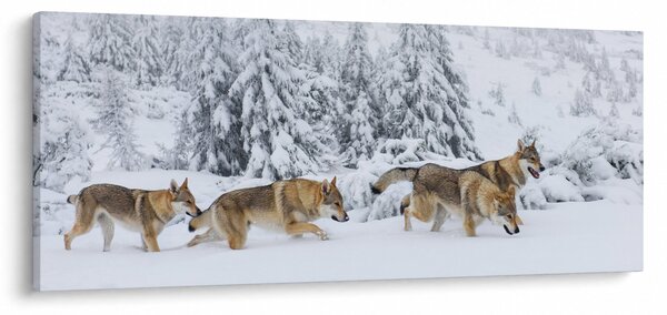 Obraz - Vlci v horách (120x50 cm)