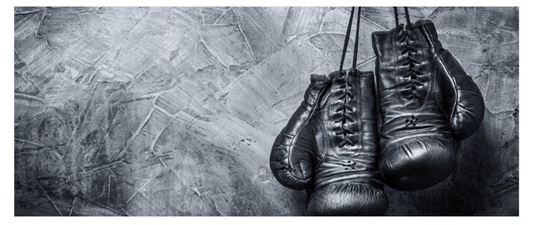Obraz - Boxerské rukavice (120x50 cm)