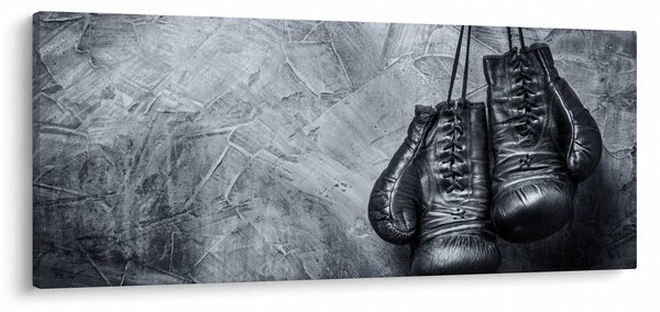 Obraz - Boxerské rukavice (120x50 cm)