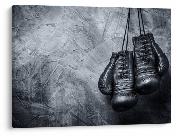 Obraz - Boxerské rukavice (70x50 cm)
