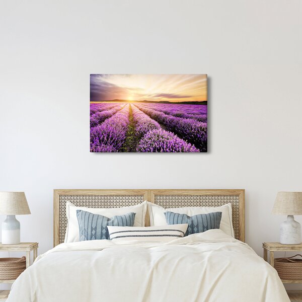 Obraz - Východ slnka v levanduľovom poli (90x60 cm)