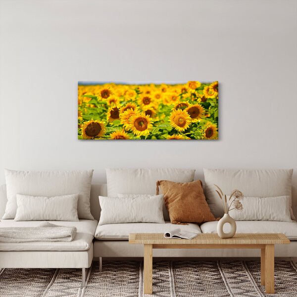 Obraz - Slnečnica (120x50 cm)