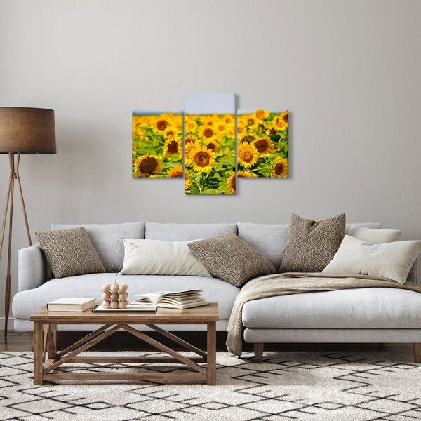 Obraz - Slnečnica (90x60 cm)