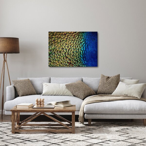 Obraz - Pávie perie (70x50 cm)