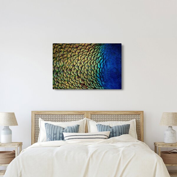 Obraz - Pávie perie (90x60 cm)