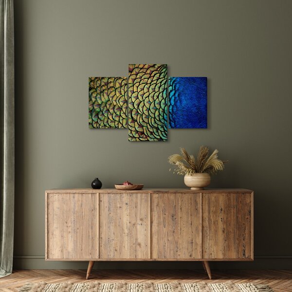 Obraz - Pávie perie (90x60 cm)
