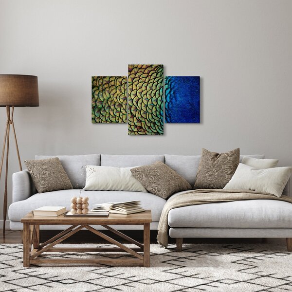 Obraz - Pávie perie (90x60 cm)