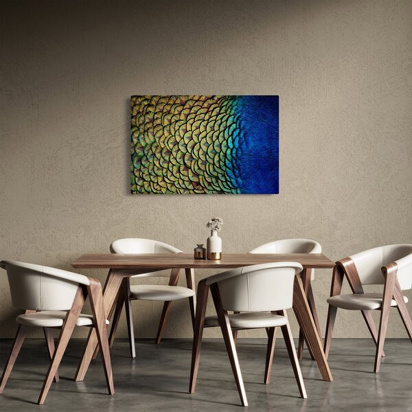 Obraz - Pávie perie (90x60 cm)