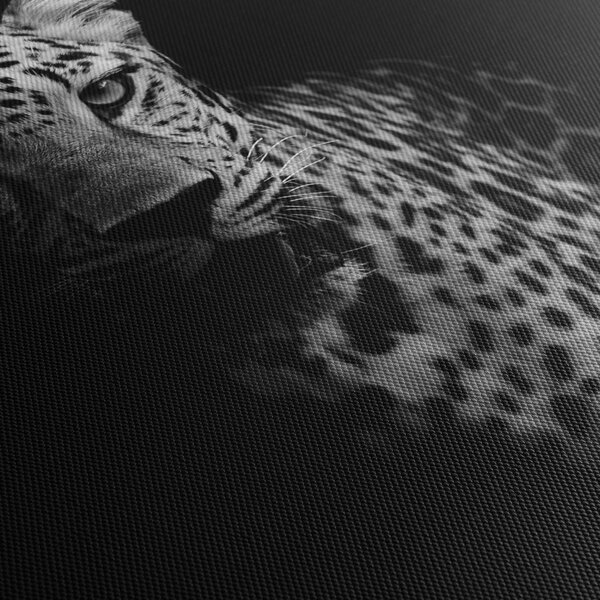 Obraz - Portrét leoparda (120x50 cm)