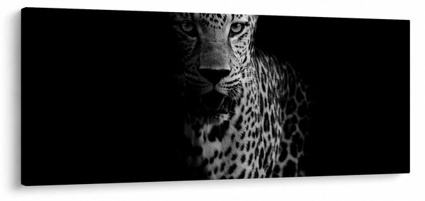 Obraz - Portrét leoparda (120x50 cm)