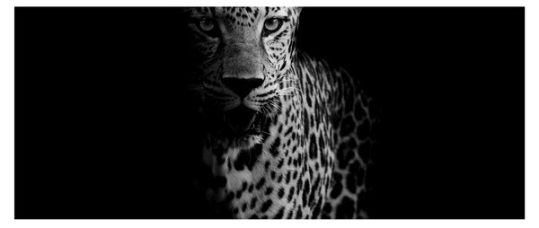 Obraz - Portrét leoparda (120x50 cm)