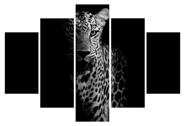 Obraz - Portrét leoparda (150x105 cm)