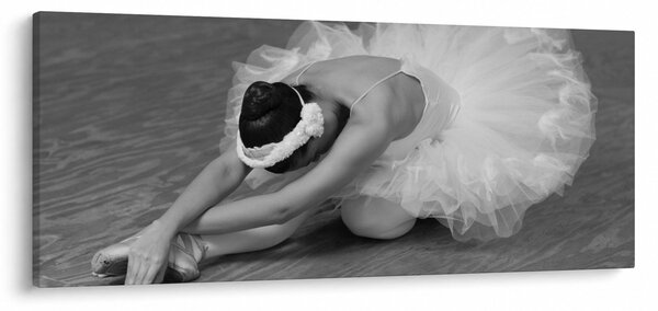 Obraz - Baletka, čiernobiela (120x50 cm)