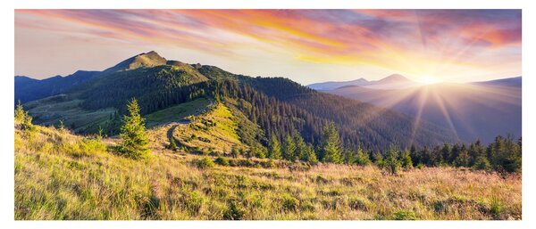 Obraz - Lesná krajina (120x50 cm)