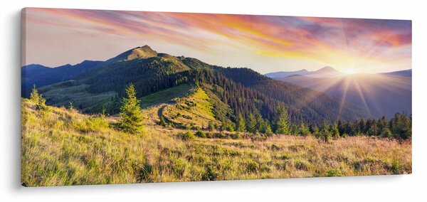 Obraz - Lesná krajina (120x50 cm)