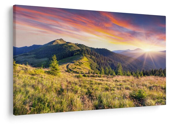 Obraz - Lesná krajina (90x60 cm)
