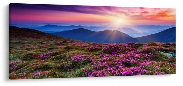 Obraz - Horská rozkvitnutá krajina (120x50 cm)