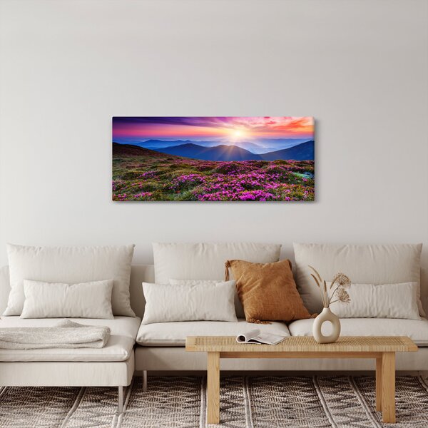 Obraz - Horská rozkvitnutá krajina (120x50 cm)