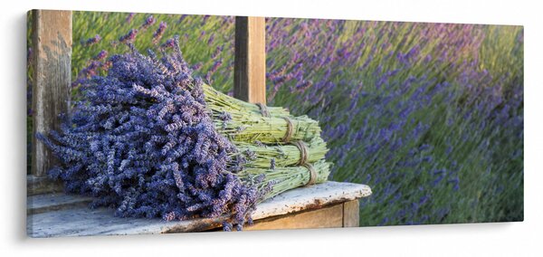 Obraz - Levanduľové zväzky (120x50 cm)