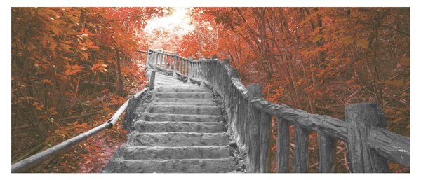 Obraz - Schody v prírode, oranžová (120x50 cm)