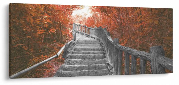 Obraz - Schody v prírode, oranžová (120x50 cm)