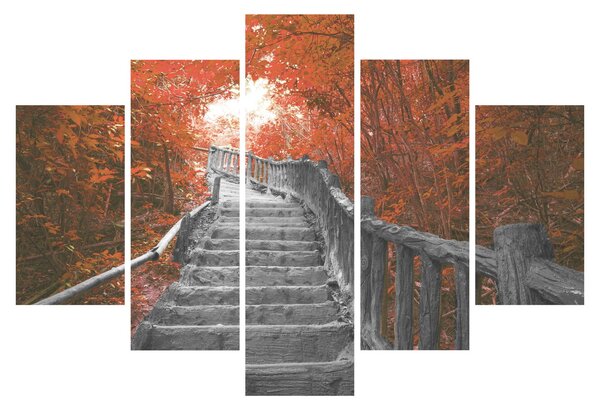 Obraz - Schody v prírode, oranžová (150x105 cm)