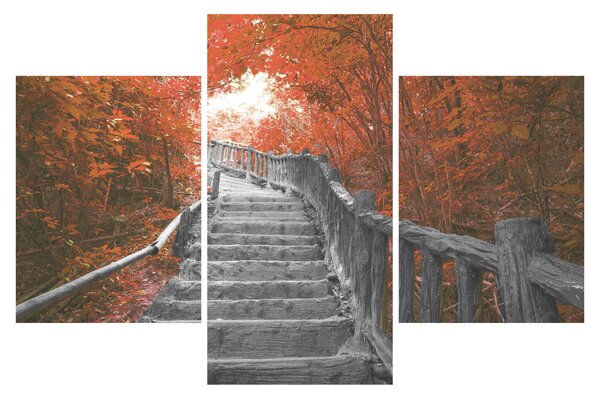 Obraz - Schody v prírode, oranžová (90x60 cm)