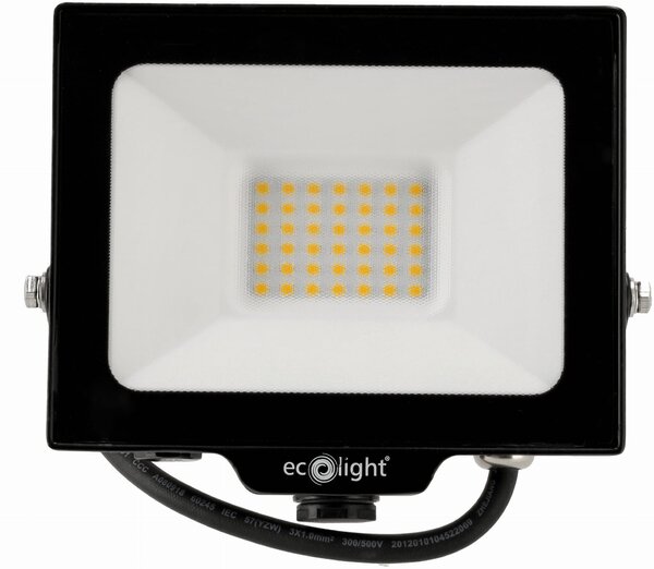 ECOLIGHT LED reflektor 30W 2v1 - studená biela