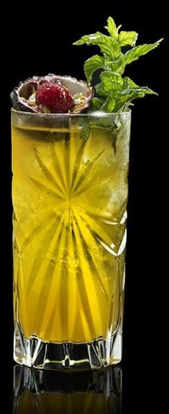 RCR Oasis longdrink 360 ml 6 ks