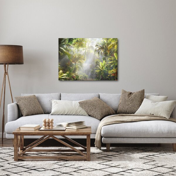 Obraz - Tropický dažďový prales (70x50 cm)