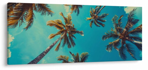 Obraz - Vysoké palmy (120x50 cm)
