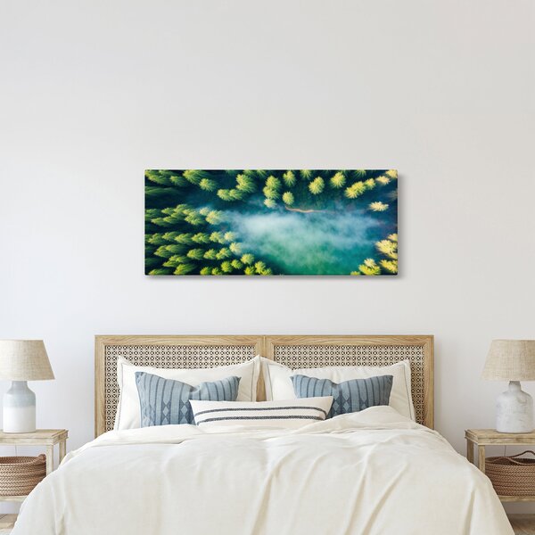 Obraz - Hmlou zahalený les (120x50 cm)