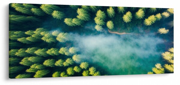 Obraz - Hmlou zahalený les (120x50 cm)