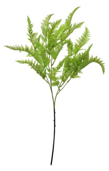 Zelená umelá previsnutá rastlina papradie - 8*4*75 cm - Clayre & Eef