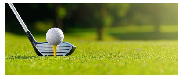 Obraz - Golf (120x50 cm)