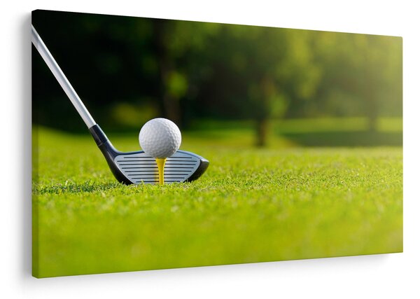 Obraz - Golf (90x60 cm)