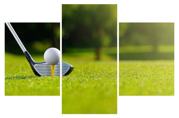 Obraz - Golf (90x60 cm)