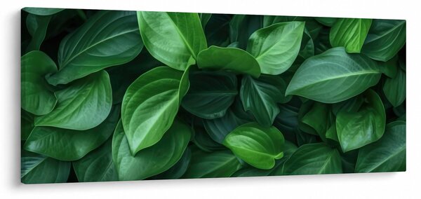 Obraz - Zelené listy (120x50 cm)